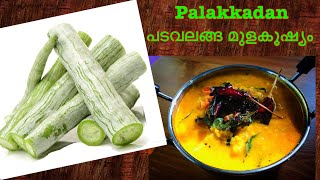 പടവലങ്ങ മുളകൂഷ്യം  Padavalanga Mulagushyam  Palakkadan curry  Recipe 148 [upl. by Efal]