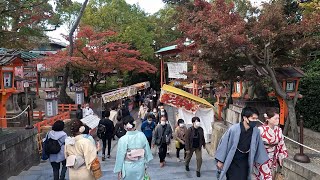 京都紅葉 二年坂、八坂神社、知恩院 [upl. by Ardy]