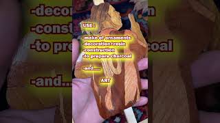 PINK KARATs WOOD  Wood Introduction  part 8 shorts trending karat wood diy training [upl. by Ilsa689]