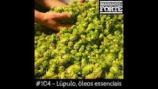 104 – Lúpulo óleos essenciais [upl. by Ellis]