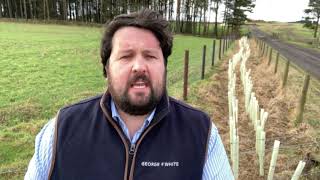 GFW Farm Focus  Countryside Stewardships Schemes [upl. by Htezil]