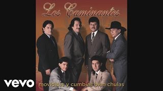 Los Caminantes  Cumbia del Sol Cover Audio Video [upl. by Ball]