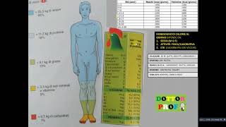 Principi nutritivi degli alimenti [upl. by Enert]