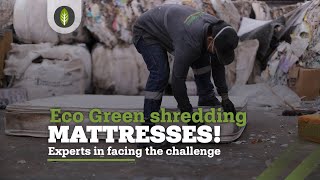 👍 Introducing Eco Green shredders experts in tackling the challenge of shredding mattresses [upl. by Caruso799]