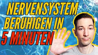 Nervensystem in 5 Minuten beruhigen mit dieser einfachen Atemübung [upl. by Borgeson]