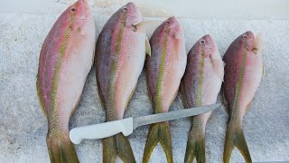 Yellowtail Snapper Fishing Key West at Night [upl. by Eiramesor]