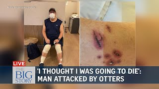 I actually thought I was going to die says man attacked by otters  THE BIG STORY [upl. by Marquet]