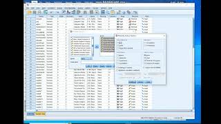 SPSSde Cronbach Alpha güvenirlik katsayısı hesaplama [upl. by Denice]