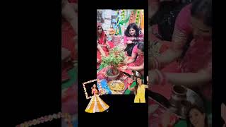 Haldi ceremony 🧿✨ hindufestival tulsivivah2023 song shadigeet haldi [upl. by Absa841]