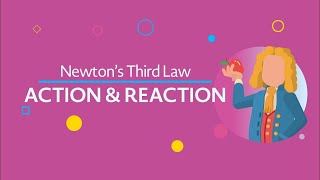 Action and Reaction Newton’s Third Law updated [upl. by Epner]