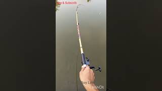 Amazing Hook Fishing shortvideo [upl. by Humpage]