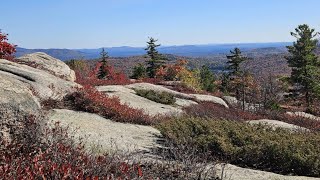 Bayle Mt Ossipee NH Who Doesn’t Like a Cookie 🍪 [upl. by Aidam979]