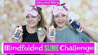 Blindfolded Slime Challenge  Jacy and Kacy [upl. by Aerdnna]