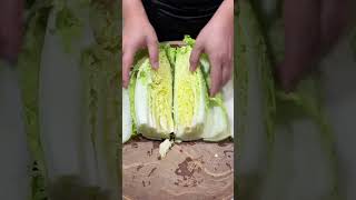 How to cut Cabbage amp Vegetables cutting Activity cuttingskils [upl. by Rella]