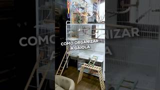 Como organizar uma gaiolaviveiro de aves [upl. by Wash33]