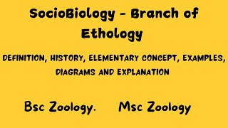 Sociobiology  Branch of Ethology bsczoology msczoology ethology [upl. by Bremble]