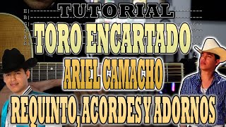 Toro Encartado  Ariel Camacho  Requinto Acordes y Adornos  TUTORIAL  CON TABS [upl. by Erickson]