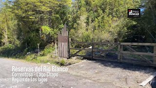 Reservas del Río Blanco  Correntoso  Río Chapo  Región de Los Lagos [upl. by Gargan]