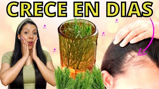 EL CABELLO CRECE COMO LOCO Y NO SE CAE😱LA MEJOR RECETA DEL MUNDO PARA CRECER CABELLO😍 [upl. by Darell799]