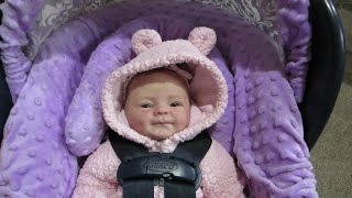 Reborn Mommies Go Shopping  Doll Break Ep 538 [upl. by Ahsirahc]