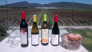 Tour Bodegas y Viñedos De Cote [upl. by Nomahs411]