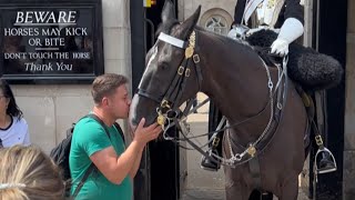 Breaking All the Rules The Shocking Moment Man IGNORES Safety Sign KISSES and TOUCHES the Horse [upl. by Atselec]