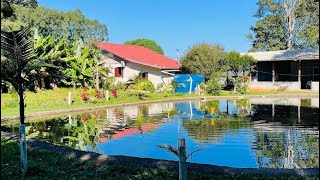 INDISPONÍVEL CHÁCARA A VENDA EM SANTA CATARINA CASA FRUTAS PLANTAS AGUA R 950 MIL [upl. by Tezil661]