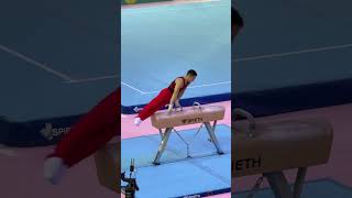 Flawless Pommel Horse Routine – A MAG Gymnast Who Owns the Event [upl. by Trautman]