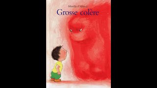 Lecture de Grosse colère de Mireille dAllancé [upl. by Moretta629]