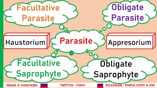 Obligate parasite Facultative parasite Obligate saprophyte Facultative saprophyteHaustoria PPP6 [upl. by Midis921]