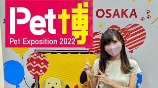 【Pet博2022】ペット博大阪会場に行ってきました【現地レポート】 [upl. by Onileva]