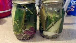 Lacto fermented Dill Pickles [upl. by Corin]