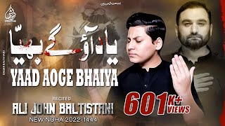 Arbaeen Noha Yaad Aoge Bhaiya  Ali John Baltistani  Shahid Baltistani  Nohay 2022  Muharram [upl. by Welbie]