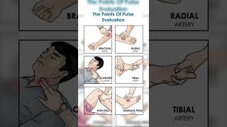 Sits of pulse palpate hospital medicalviralvideo ytshorts trending youtubeshorts youtube [upl. by Charita]