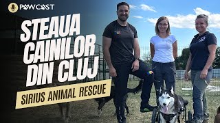 Sirius asociația strălucitoare de protecția animalelor din Cluj  centrul de adopții [upl. by Eninnaej]