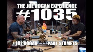 Joe Rogan Experience 1035  Paul Stamets [upl. by Suzan108]