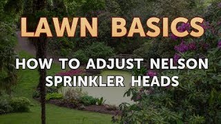 How to Adjust Nelson Sprinkler Heads [upl. by Stanwinn]