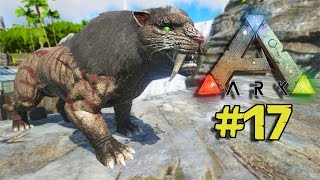 Ark Survival Evolved 17 Prezivljavanje  Divlja Macka Sabertooth i TRex [upl. by Ahtamas]