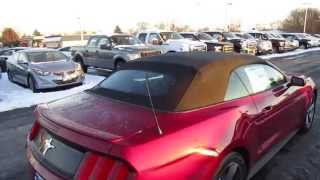 2015 Ford Mustang Convertible  V6  Walk Around  Review  Start Up [upl. by Manton305]