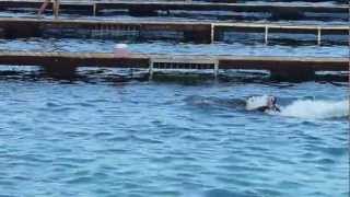 Swimming with the DOLPHINS  Chankanaab Park in Cozumel Mexico September 28 2012 [upl. by Nohtanoj]