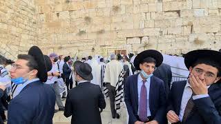 Watch Shacharit the Jewish morning prayer at the Western Wall plaza Wailing Wall Jerusalem [upl. by Goulette]