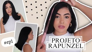 PROJETO RAPUNZEL l EP 1 Regras produtos e   JOYCE LIMA [upl. by Eidarb271]