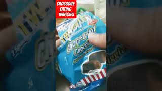 Crocodile eating twiggies ASMR satisfying youtubeshorts viralvideo trending shortvideo short [upl. by Odysseus263]