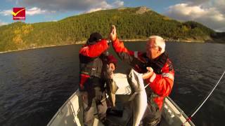 Angeln im Saltstraumen in Nordnorwegen [upl. by Brad]