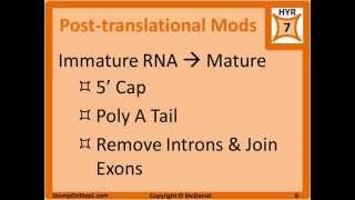 DNA Replication Transcription Translation DNA Polymerase III Topoisomerase RNA Polymerase [upl. by Raila]