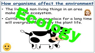 Interdependence  Ecology KS3 [upl. by Einaeg124]