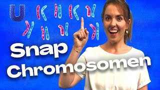 Waarom zijn mannen anders dan vrouwen WetenSNAP chromosomen [upl. by Aihcrop]