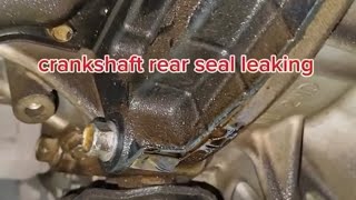 crankshaft rear seal leaking [upl. by Gimpel]