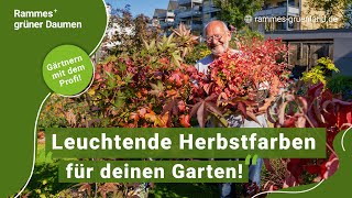 Leuchtende Herbstfarben für deinen Garten [upl. by Skilken]