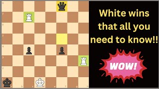 In a Absolutely Brilliant way white wins Astonishing chess endgame [upl. by Condon]